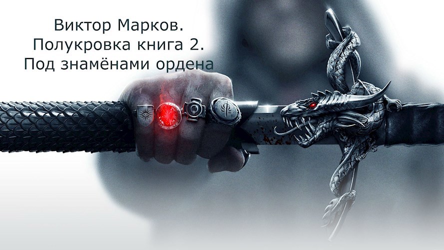 Полукровка книга 2. Под знамёнами Ордена.