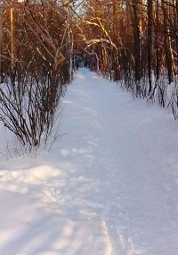 Первый снег