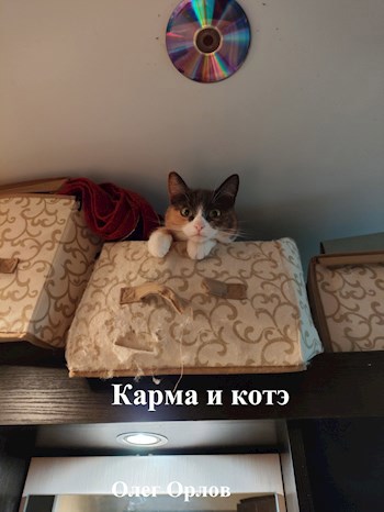 Карма и котэ