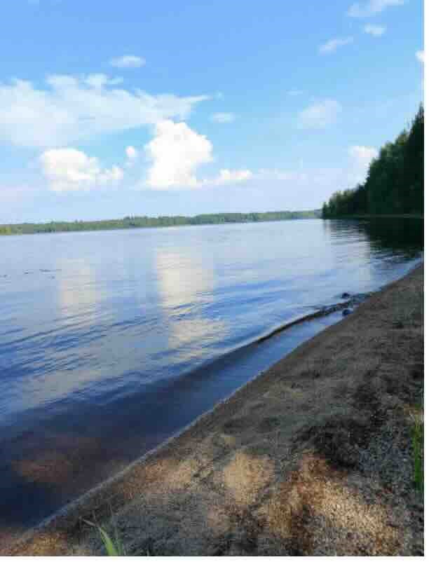 Карелия плавится черникой