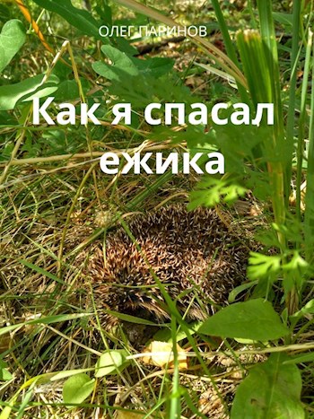 Как я спасал ежика
