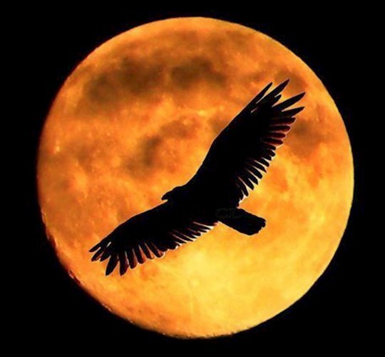 Отпуск за гранью