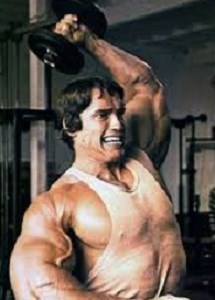 Тренировочные объемы в профессиональном бодибилдинге
