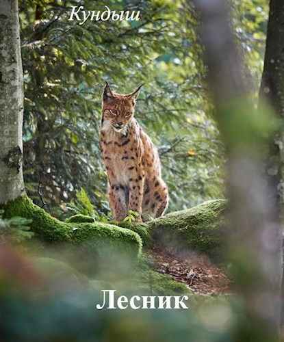 Лесник