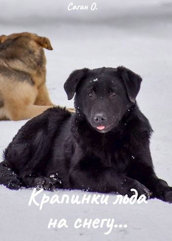 Крапинки льда на снегу