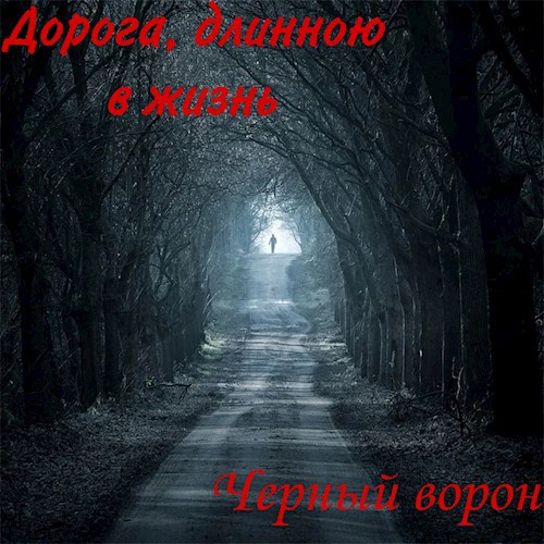 Дорога, длинною в жизнь
