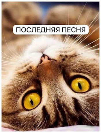 Последняя песня