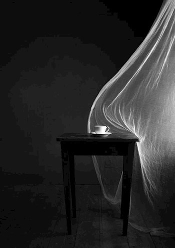 Луна чистых страниц