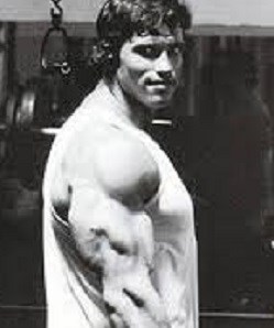 Калифорнийский жим штанги работа над трицепсом