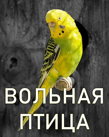 Вольная птица