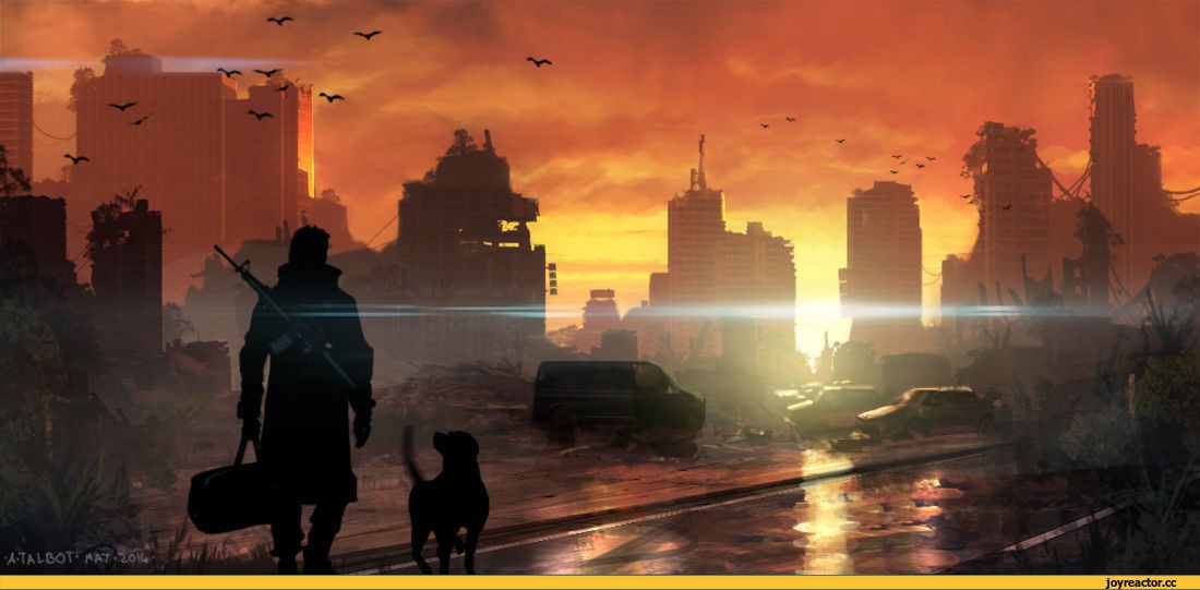 Книга 2. «Эхо рассвета»