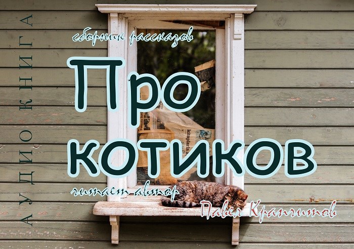 Про котиков