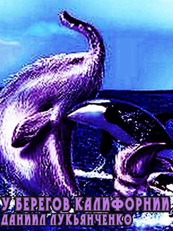 У берегов Калифорнии