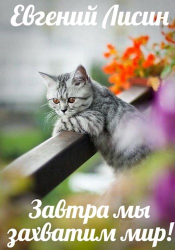 Завтра мы захватим мир!