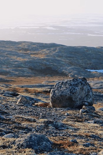 Урания