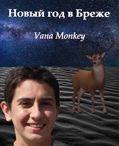 Новый Год в Бреже