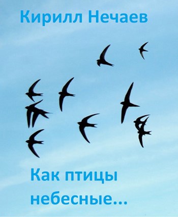 Как птицы небесные...