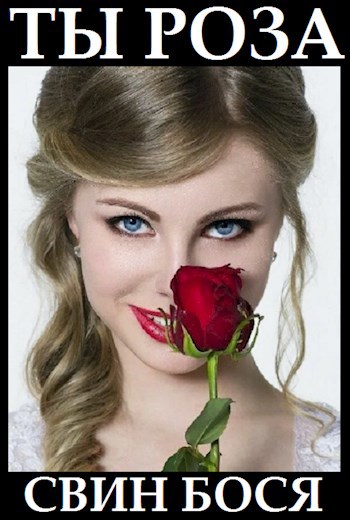 Свин Бося . Трамплин . Новые Стишки 39