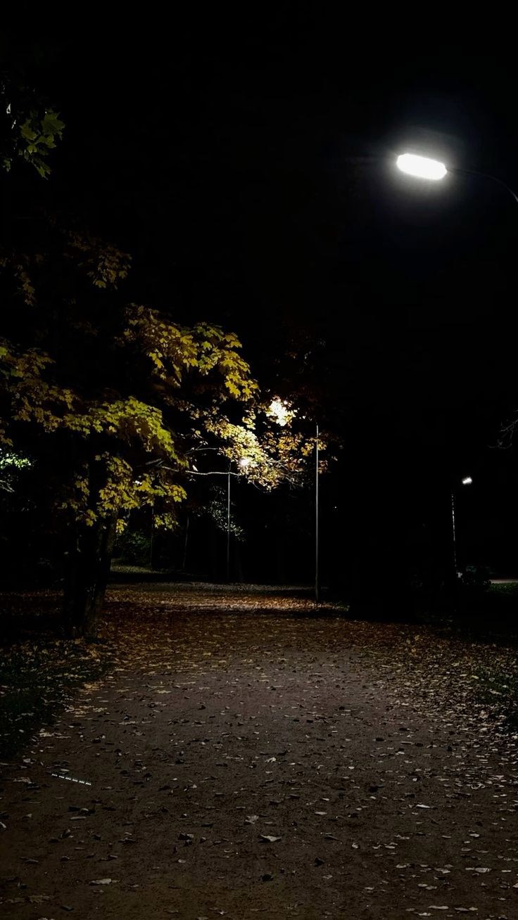 Свет фонаря