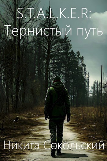 S.T.A.L.K.E.R: Тернистый путь
