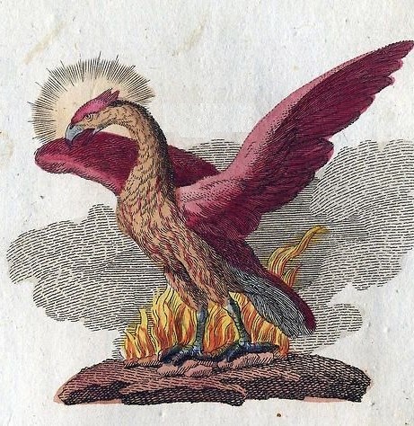 Птица Анзуд