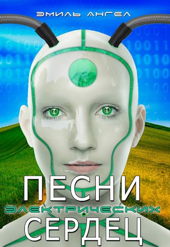 Проект "Пеликан"