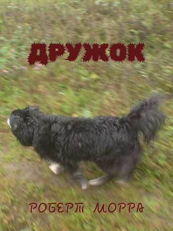 Дружок