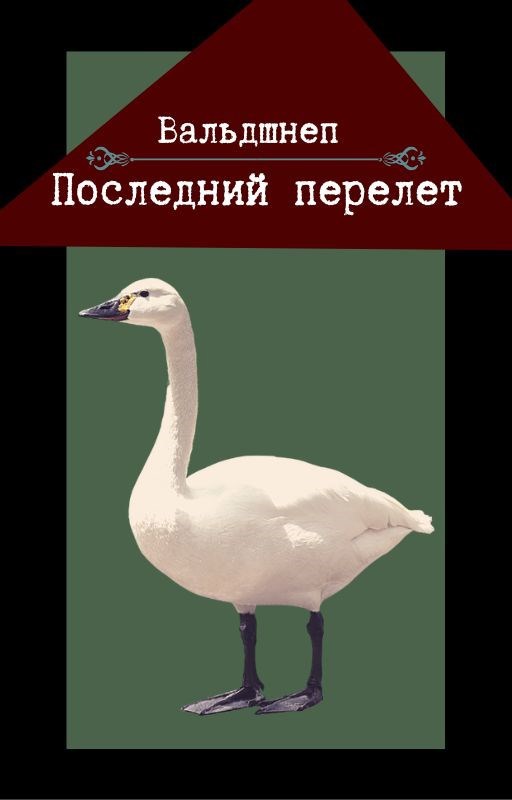 Последний перелет