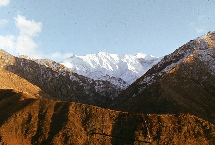 "Зуб Дракона".