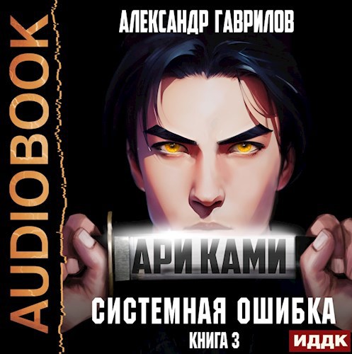 Ари Ками 3 Системная ошибка