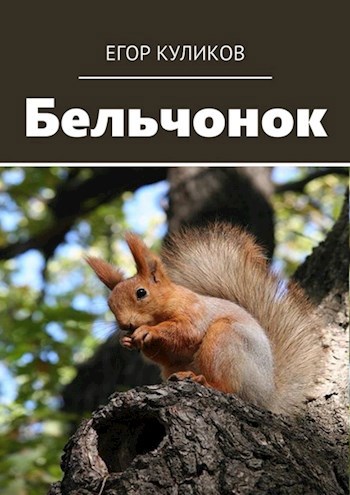 Бельчонок