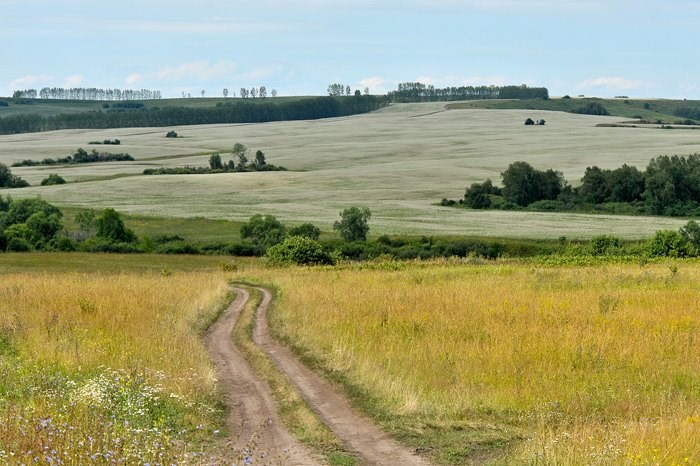 Переводы и перепевы