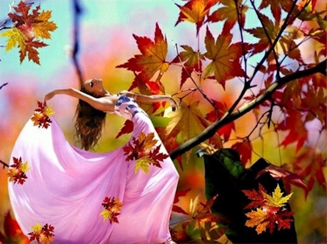 Вчера я танцевала вальс с деревьями в лесу