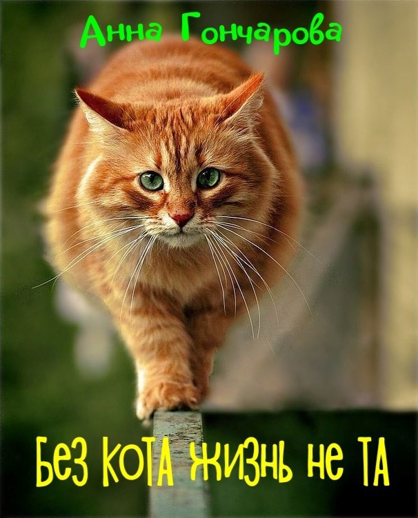 Без котА жизнь не тА