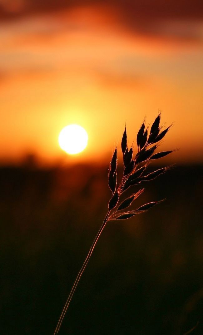 Ночная грусть