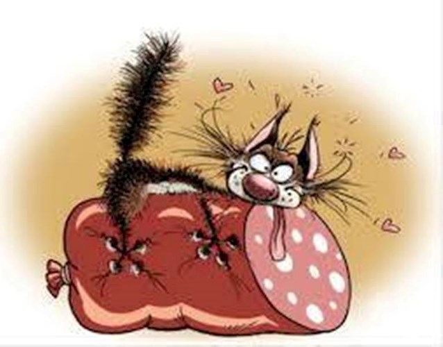 Салями, сэр!