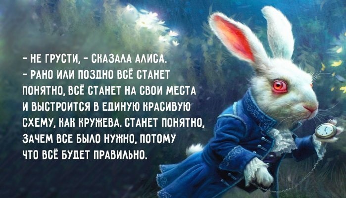 «Куда приводят кролики» (18+)