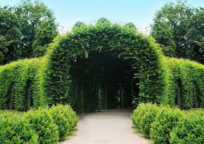 Судьбоносная встреча