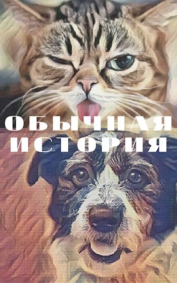 Обычная история