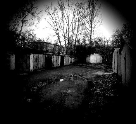 Новая жизнь...