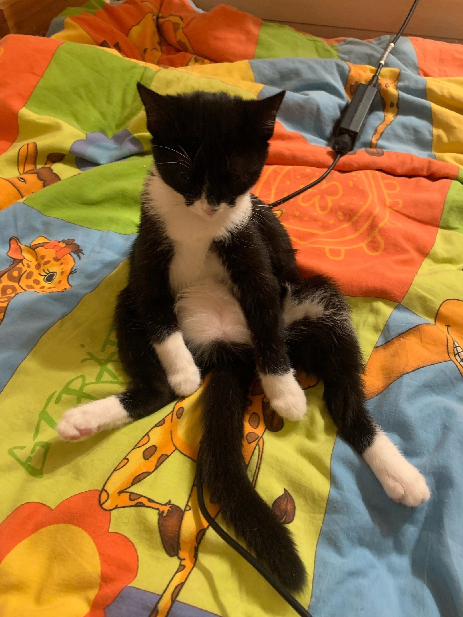 Срез моей жизни в драбблах