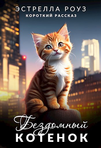 Бездомный котенок