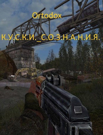 Куски сознания