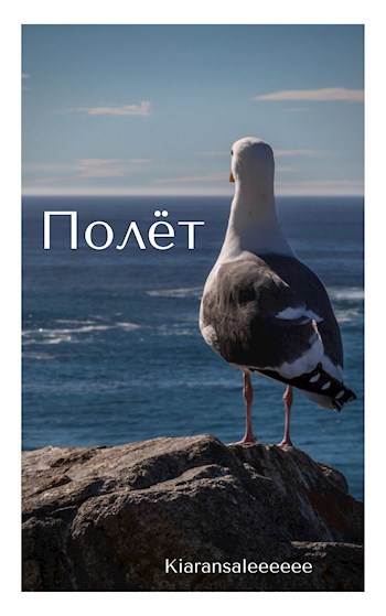 Полёт