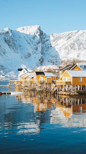 Мир истерически красок