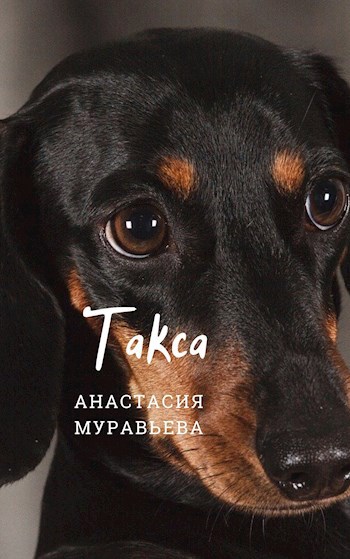 Такса