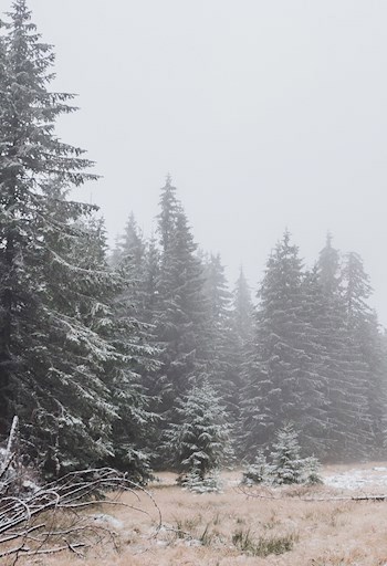 Осень у нас всегда холодная