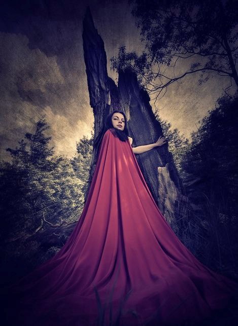 На службе у мага