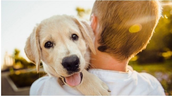 День благодарения собак или признательности собакам