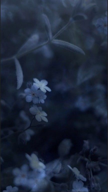 Сборник зарисовок по вмх